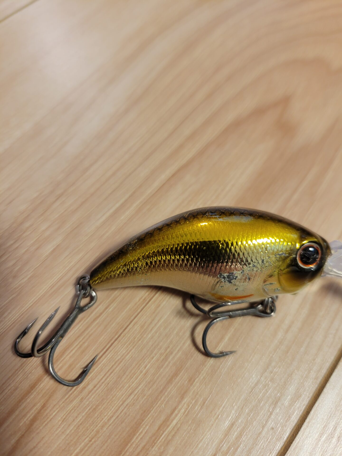 エバーグリーン ワイルドハンチのインプレ ～永遠の定番